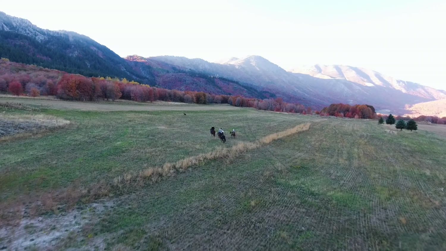 Bridle Path — Wellsville, UT
